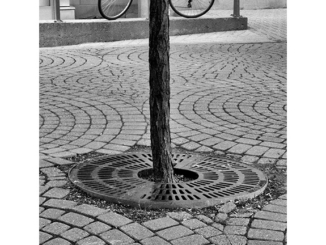 Bicycle Vortex (black and white photograph)