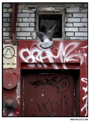 Montreal, Januray 2, 2007