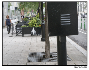 Montreal, August 3, 2023 (colour photograph) by Paul Politis