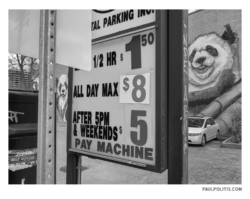 Untitled (black and white photograph)