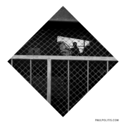 Untitled (black and white photograph) by Paul Politis, 2021