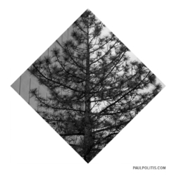 Untitled (black and white photograph) by Paul Politis, 2021