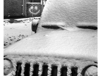 Cold Smile (black and white photograph)