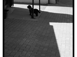 Urban Creatures (black and white photograph)