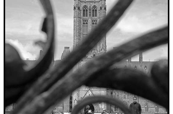 Parliament Stare-down (black and white photograph)