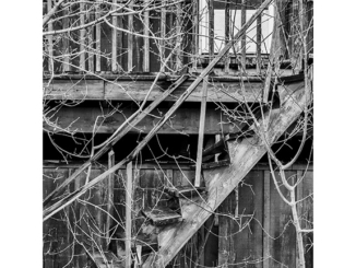 Stairway to a Forgotten Place (black and white photograph)