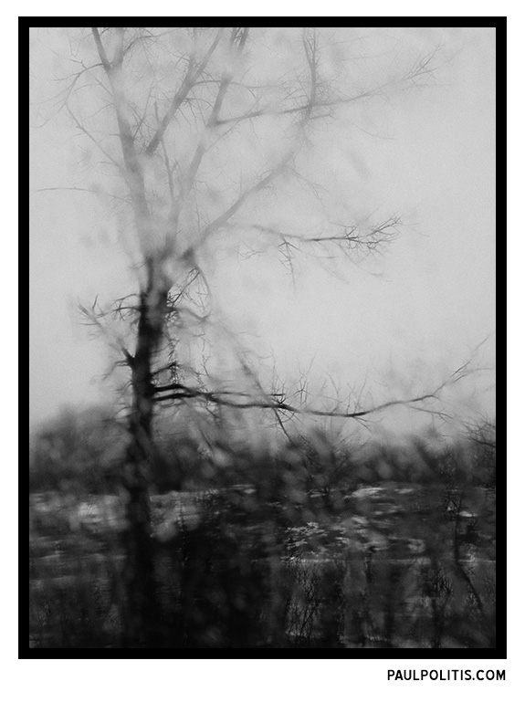 Tree Through Rainy Windshield (black and white photograph)